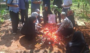 Img 20250710 Wa0049