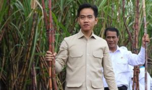 Wapres Temui Petani Tebu Di Banyuwangi 1750663006907 169