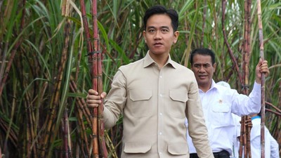 Wapres Temui Petani Tebu Di Banyuwangi 1750663006907 169