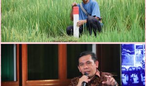 GEMAPATAS Akan Dicanangkan Serentak di 23 Kabupaten/Kota, Ka. Biro Humas dan Protokol: Dipimpin Langsung Menteri Nusron