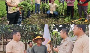 Resmi Dilantik, DPD Tani Merdeka Indonesia Kabupaten Tangerang Laksanakan Giat Sosial Berbagi Nasi Bungkus Untuk Petani