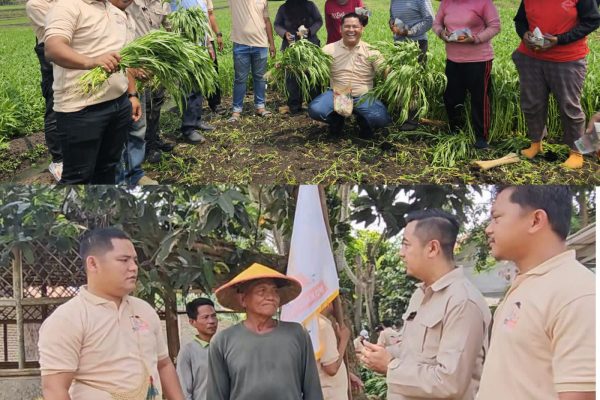 Resmi Dilantik, DPD Tani Merdeka Indonesia Kabupaten Tangerang Laksanakan Giat Sosial Berbagi Nasi Bungkus Untuk Petani Img 20250812 wa0058