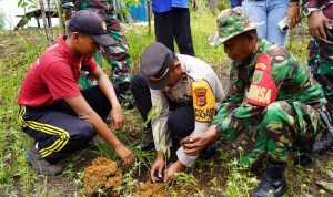 Hijaukan Tanah Papua, TNI dan Purna Paskibraka Kota Jayapura Tanam Pohon di Depapre