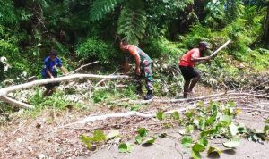 Babinsa Koramil Web Bersama Warga Buka Akses Jalan Yang Tertutup Akibat Pohon Tumbang