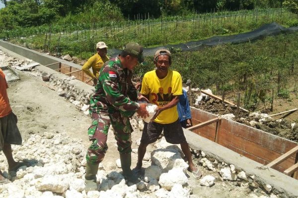 543336717 1621048462192548 3244089817988573779 n