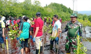 Selamatkan Teluk Youtefa Lewat Gerakan Tanam 100 Bibit Mangrove Peringati Hari Bakti RRI