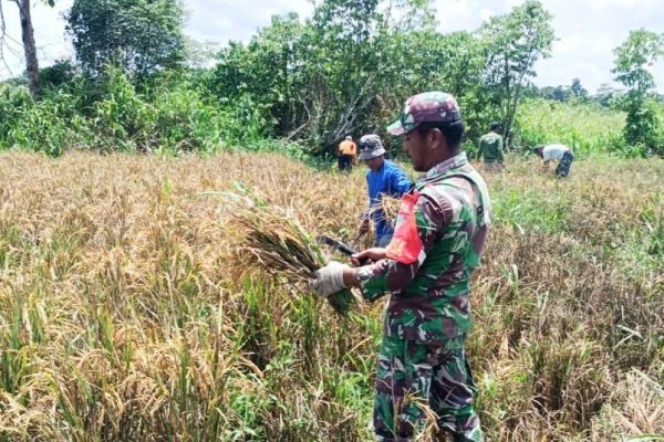 548018850 1630588061238588 5897667737092288087 n