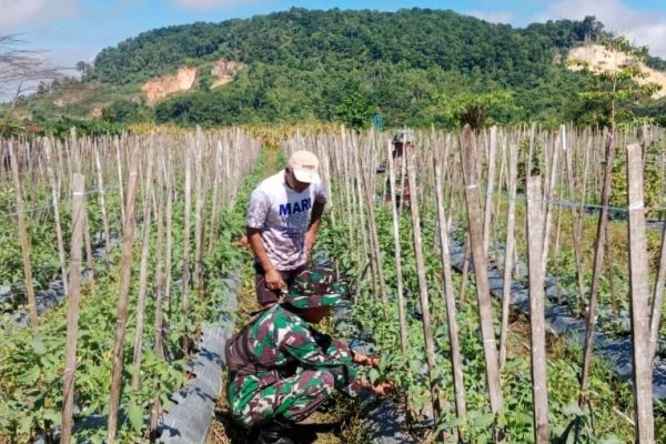 549117116 808191705036422 993750782557442410 n