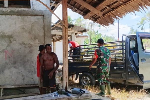 549150575 811885151333744 1125766285487343664 n