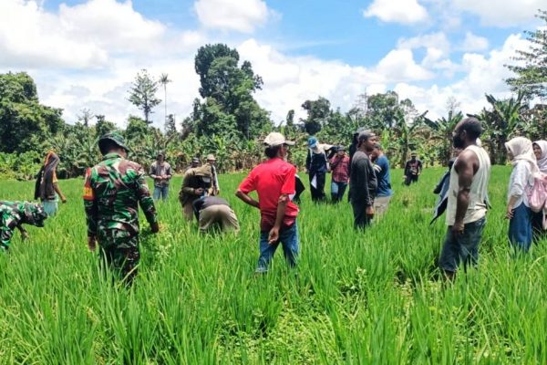 552463706 1636527733977954 5810375315842566184 n