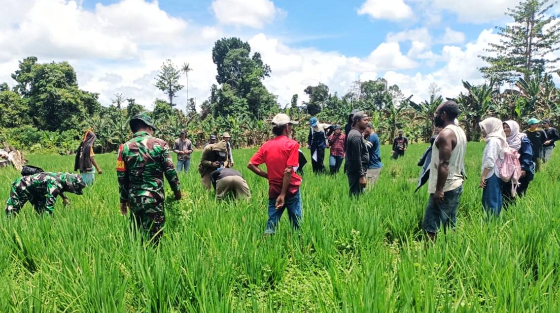 552463706 1636527733977954 5810375315842566184 n