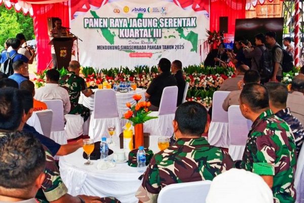 556039819 1640937850203609 4507704467130676453 n