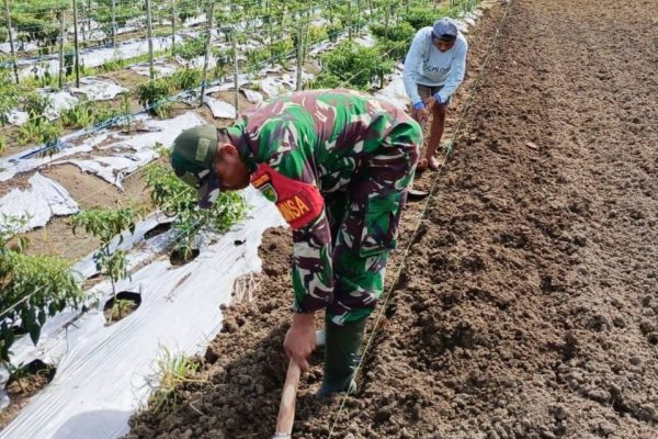 836a2c28 8da6 4d65 a6b6 cd72057d02f7