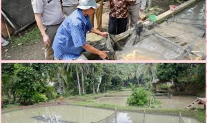 Reforma Agraria Hidupkan Potensi Desa Bandung, Dari Semak Belukar Jadi Sumber Ekonomi Masyarakat