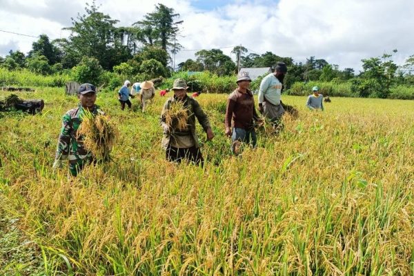 C4bc5713 6128 4015 87fc fdec7952c6cd