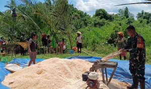 Babinsa Turun Tangan Olah Sagu, Lestarikan Pangan Lokal Papua