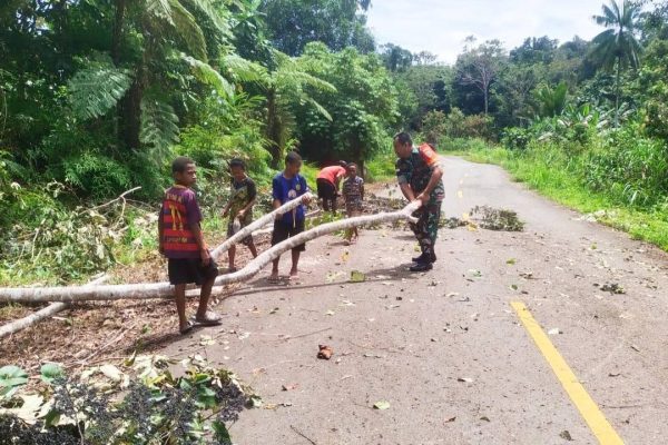 F8195f09 2fae 4d0f 8e91 c681c7a0000b