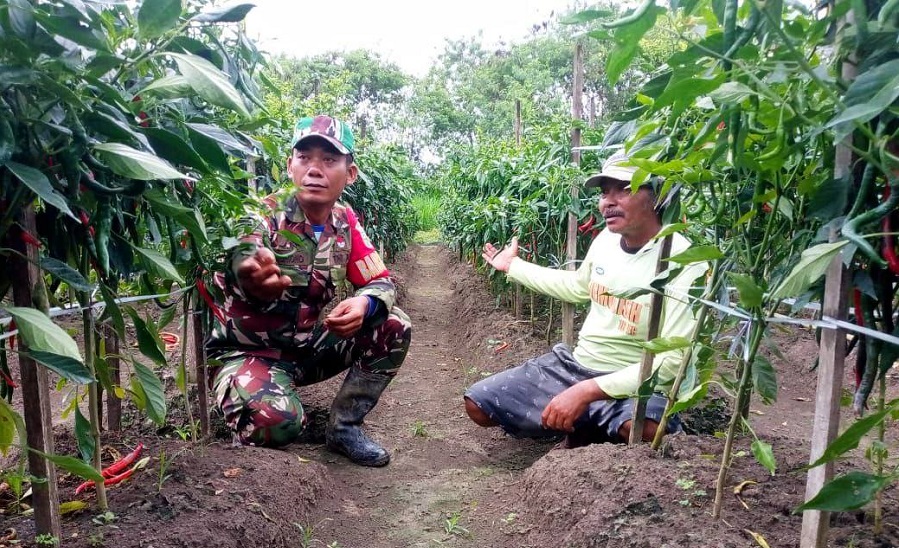 557071847 1643081569989237 2871034677455524587 n