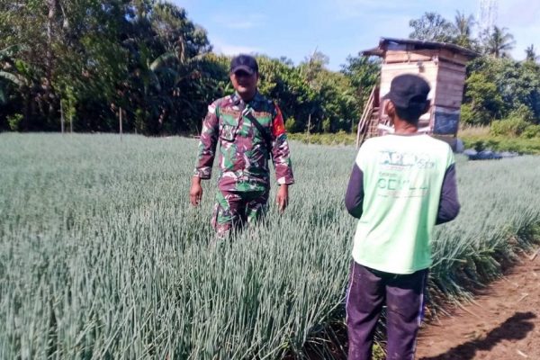 557316016 1644291843201543 4292432001698696030 n