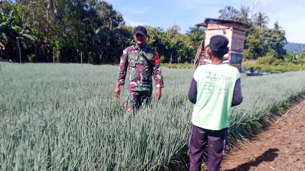 557316016 1644291843201543 4292432001698696030 n