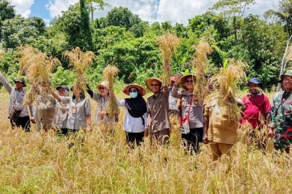 557953576 1642336036730457 1881788765753808009 n