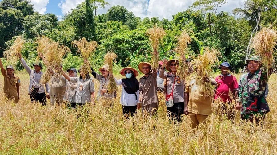 557953576 1642336036730457 1881788765753808009 n