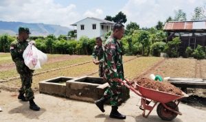 Wujudkan Ketahanan Pangan, Babinsa Koramil 1701-01/Sentani Turun ke Kebun Bangkitkan Semangat Bertani