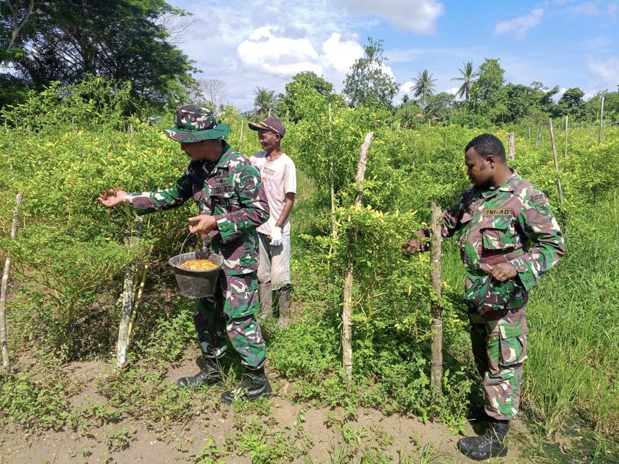 571217459 1662711674692893 1726627753241317942 n