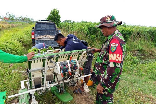 Whatsapp image 2025 10 03 at 19.17.04