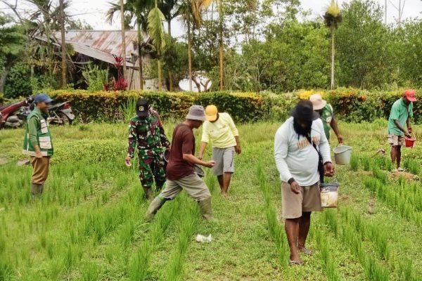 574281190 1671952043768856 4379486889054810930 n