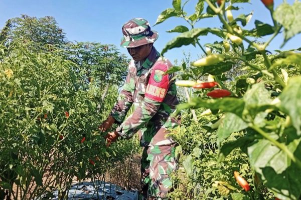 577327659 1679046099726117 2658861348737228809 n