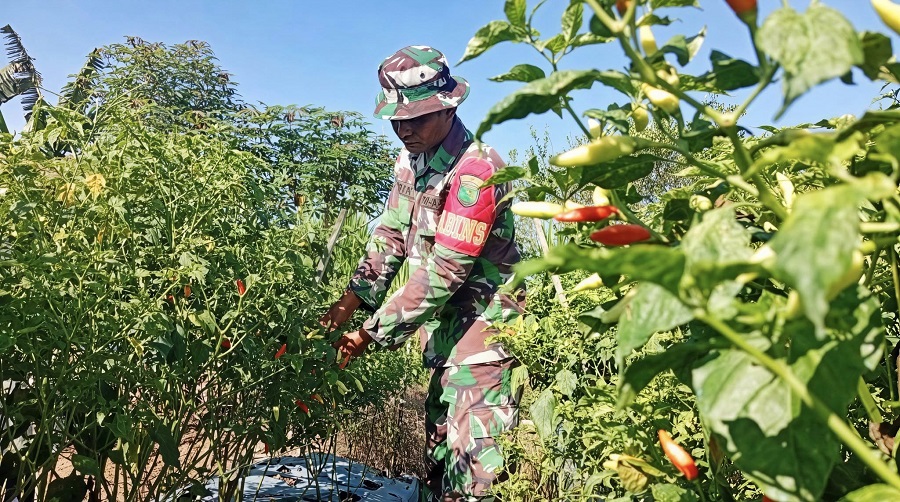 577327659 1679046099726117 2658861348737228809 n