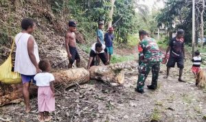 Hambat Aktivitas Warga, Babinsa Web Gotong Royong Bersihkan Pohon Tumbang