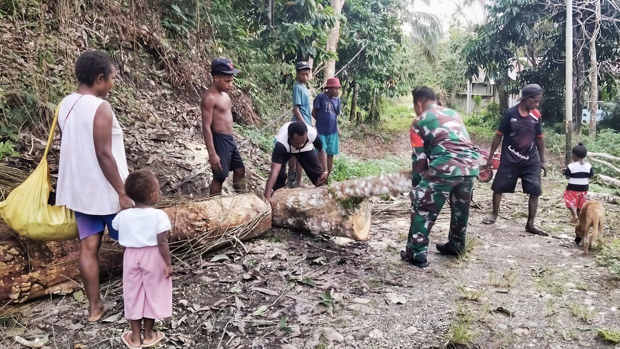 580545415 1679066086390785 7452812774958264233 n