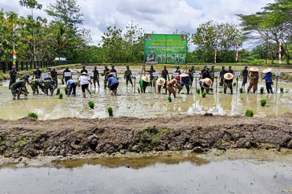 581033291 1683852062578854 1594296006630114556 n