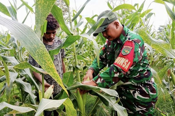 586267528 1686868912277169 8115357606649163367 n