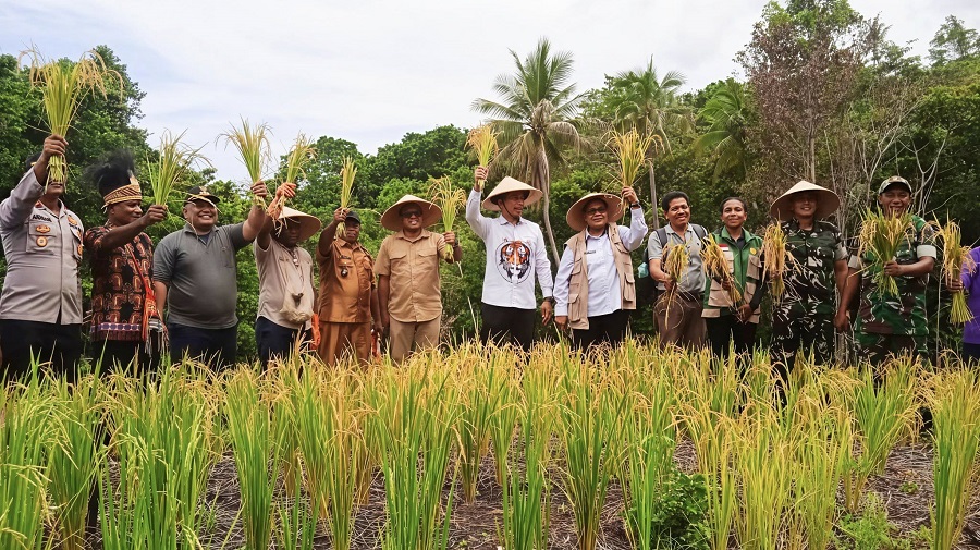 586287675 1685919852372075 7201026120480825798 n