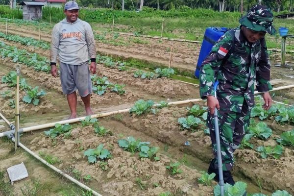 588630747 1690754508555276 1343767478717395102 n