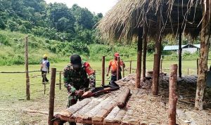 Sambut Natal dan Tahun Baru, Babinsa Koramil Demta Bersama Warga Kompak Bangun Pondok Natal