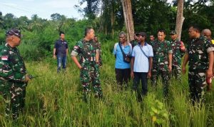 Dandim 1701/Jayapura Dampingi Danrem Tinjau Lahan Cetak Sawah di Kampung Aimbe