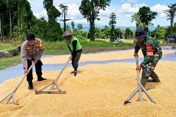 606475734 1711272186503508 9019827429483834004 n