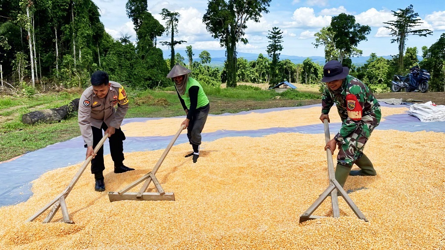 606475734 1711272186503508 9019827429483834004 n