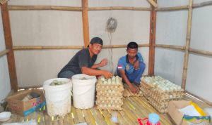BUMDes Sri Barokah, Kelola Peternakan Bebek Telur, Menghasilkan 340 Butir Telur Perhari Untuk Ketahanan Pangan