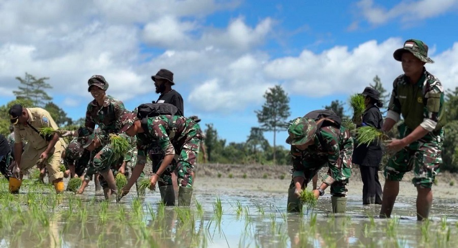 Whatsapp image 2025 12 13 at 17.33.37