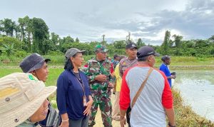Babinsa-Bhabinkamtibmas Skanto Bantu Latih Petani Dari Kabupaten Sarmi