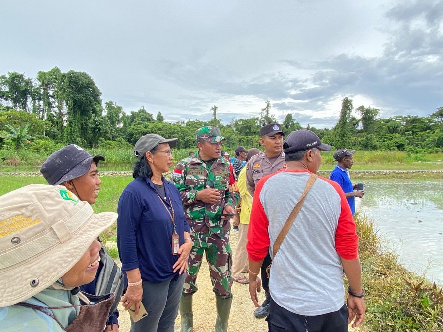 Whatsapp image 2025 12 17 at 12.04.59 copy