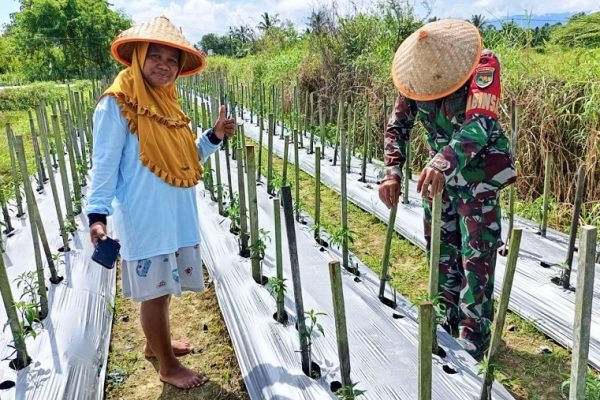 610880316 1719668122330581 646249183872842475 n