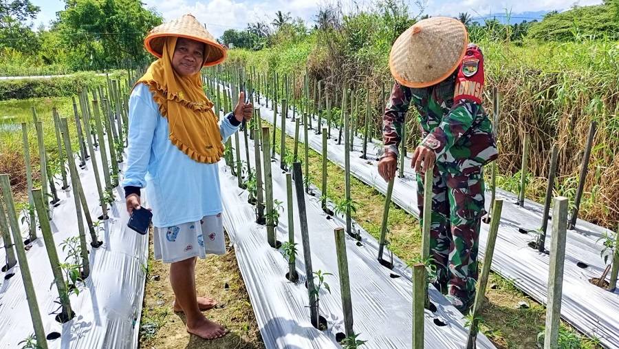 610880316 1719668122330581 646249183872842475 n