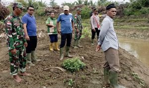 Perkuat Sektor Pertanian, Plh. Danramil Skanto Dampingi Wabup Keerom Tinjau Infrastruktur Pertanian
