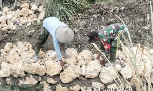 Babinsa Skanto Gotong Royong Bersama Warga Bangun Talud